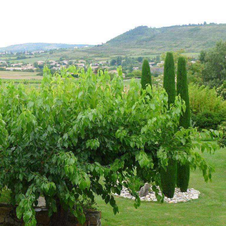 Domaine De La Manse Hotell Villeneuve-de-Berg Exteriör bild