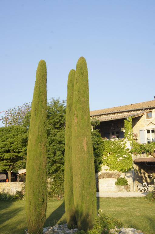 Domaine De La Manse Hotell Villeneuve-de-Berg Exteriör bild